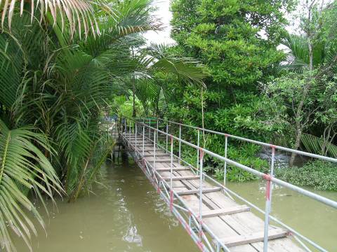 เส้นทางสะพาน ที่คืนนี้เราจะลงเรือแจว ชมหิ่งห้อยกันครับ