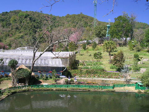 จะเห็นเรือนเพาะชำไม้ดอกและไม้ประดับจำนวนมาก