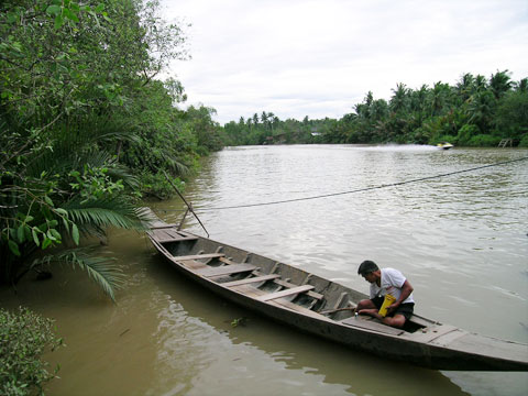 เรือแจว ชมหิ่งห้อย